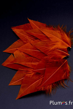 Blütenblätter aus Federn mit Flaum - 5–7 x 2–3 cm - aztekengold  